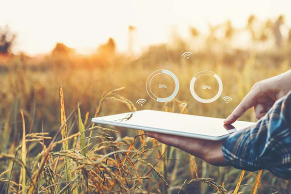 Phishing, SegurançaDeEmail, IA, Ransomware, AtaquesCibernéticos, SegurançaAgrícola, Cibersegurança, ProteçãoDeDados, Tecnologia, PrevençãoDeRansomware, Agronegócio, IndústriaAgrícola, DefesaCibernética, Ant